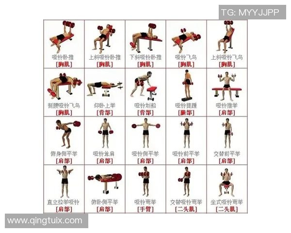 在家轻松自制哑铃的方法与技巧分享